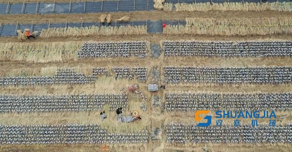 1664324790112461.jpg 下载.jpg