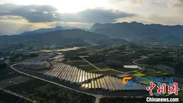 1665021382206771.jpg 1000.jpg