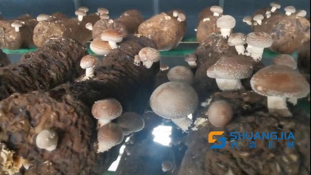 1665109320191768.jpg 09-01-47-94-283825.jpg