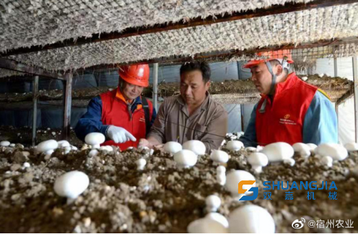 1674011275212810.png 09-29-24-26-283825.png