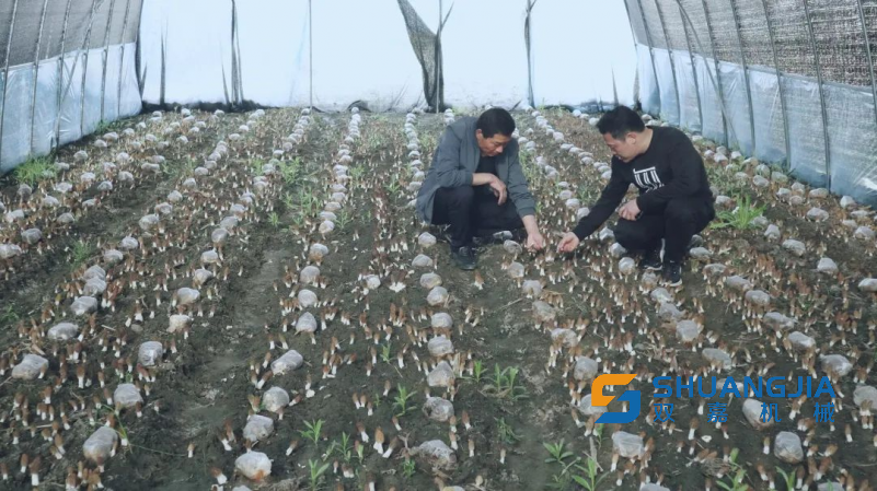 1675659148121162.png 09-21-23-44-283825.png