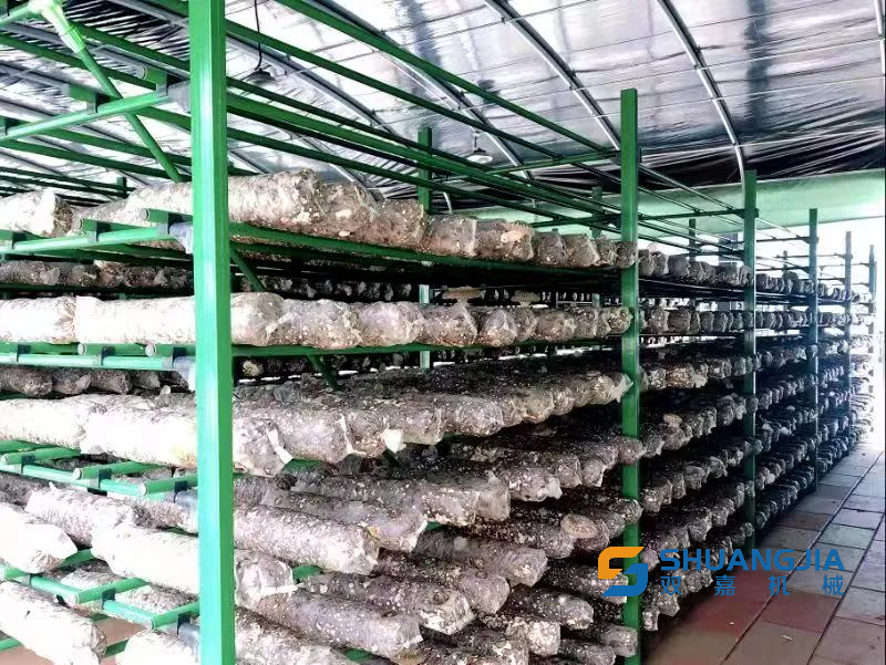 1679477007143200.png 10-50-26-23-451102.png