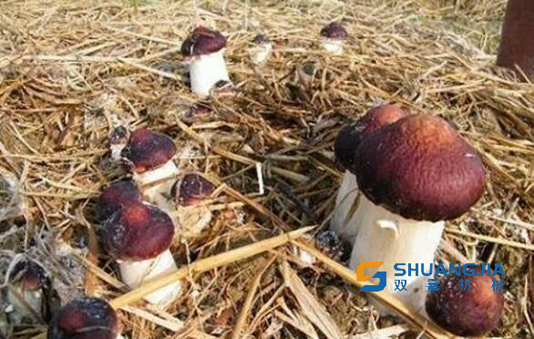 1683098896994574.png 09-48-59-99-1.png