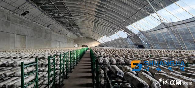 1683707282996035.png 10-23-09-85-451102.png